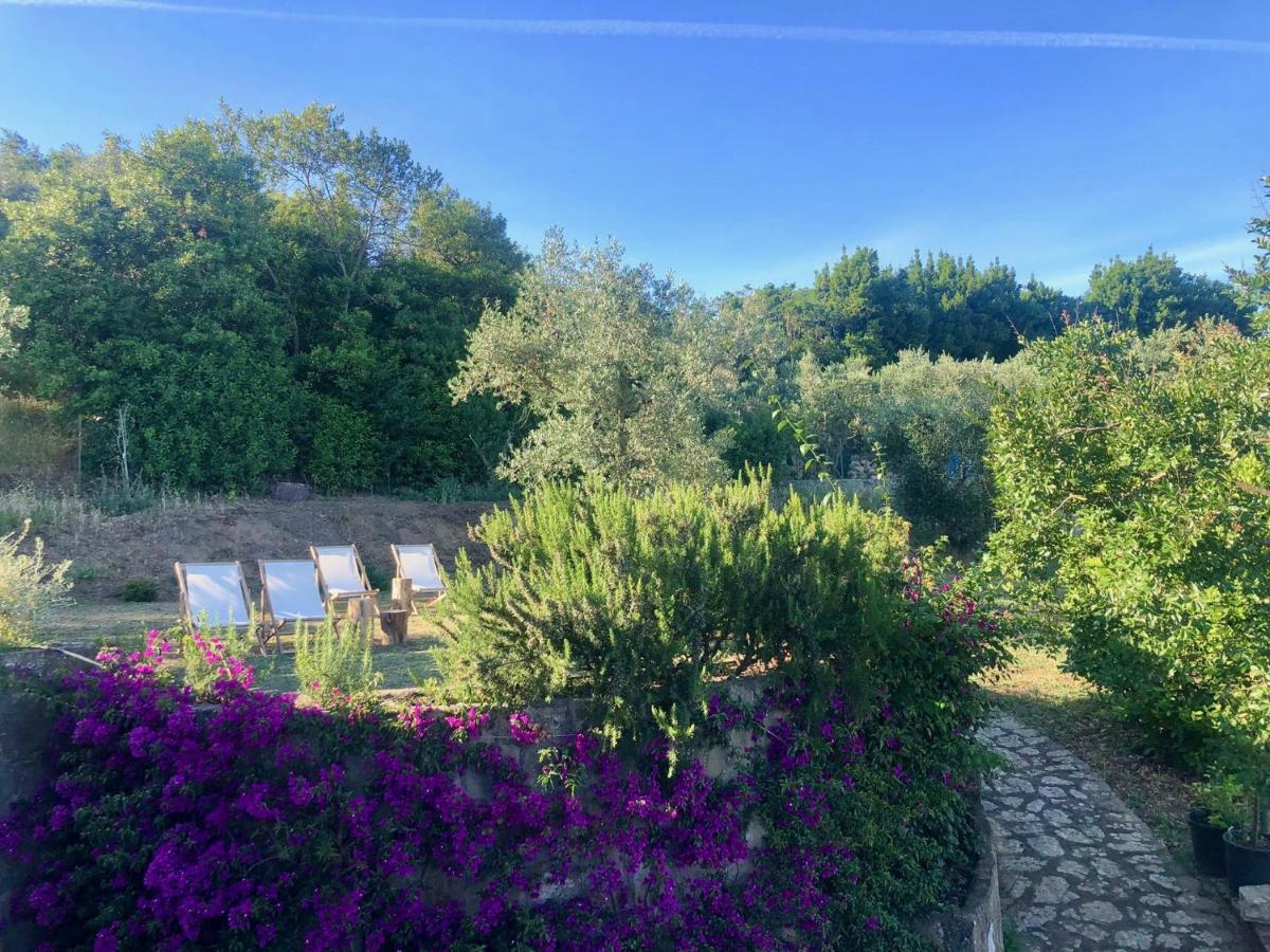 Nostos Casale Bed and Breakfast SantʼAgata sui Due Golfi Buitenkant foto