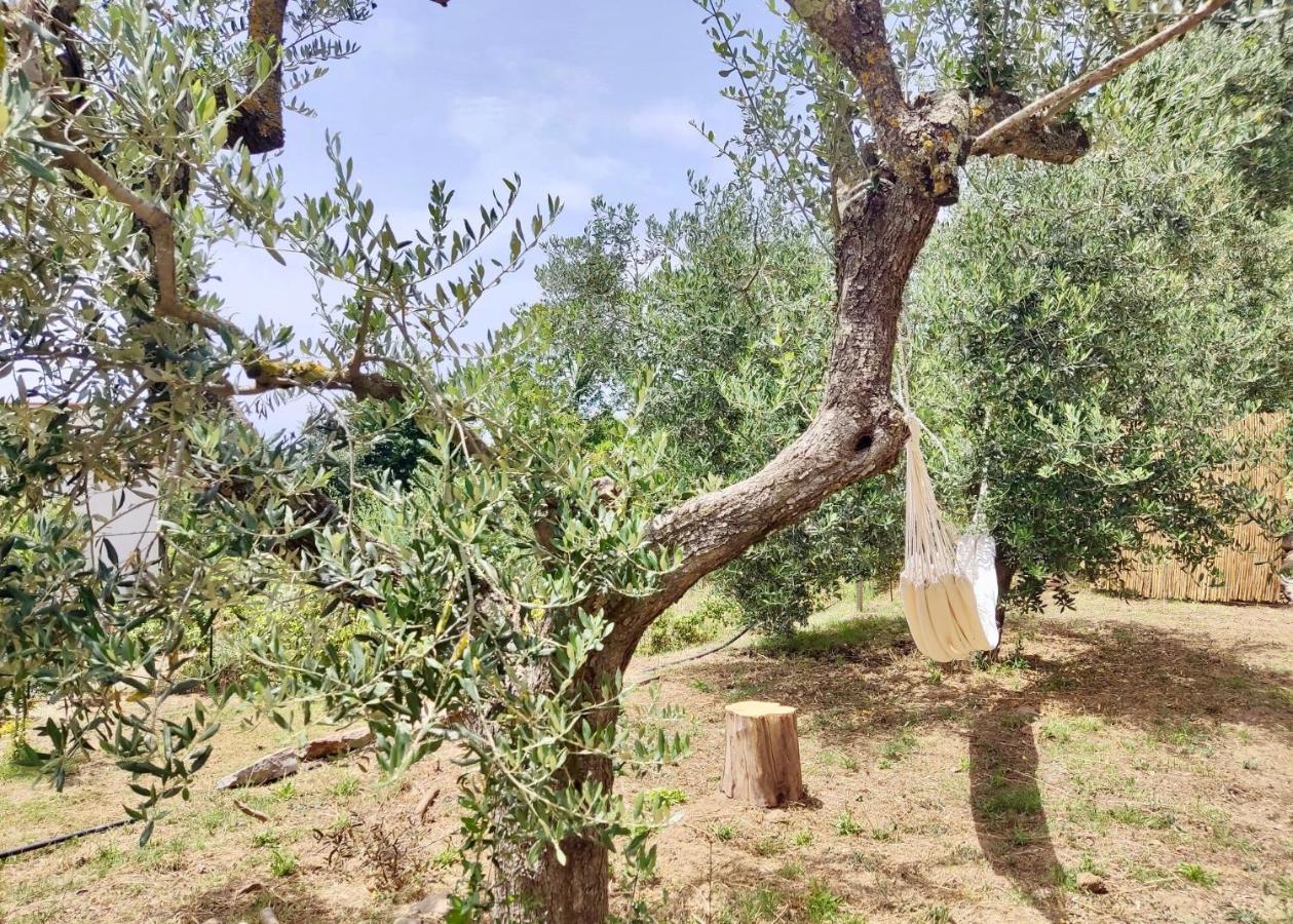 Nostos Casale Bed and Breakfast SantʼAgata sui Due Golfi Buitenkant foto